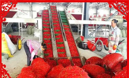 农村创业新机遇 干好这几个农副产品加工项目，不愁没钱赚