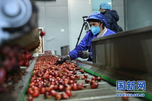 怒江峡谷 农副产品加工交易中心助力脱贫攻坚