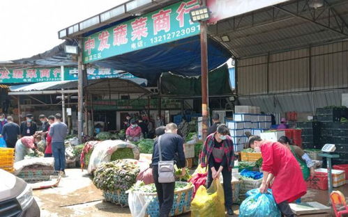 武汉解封首日 白沙洲农副产品大市场车流激增 供应稳定