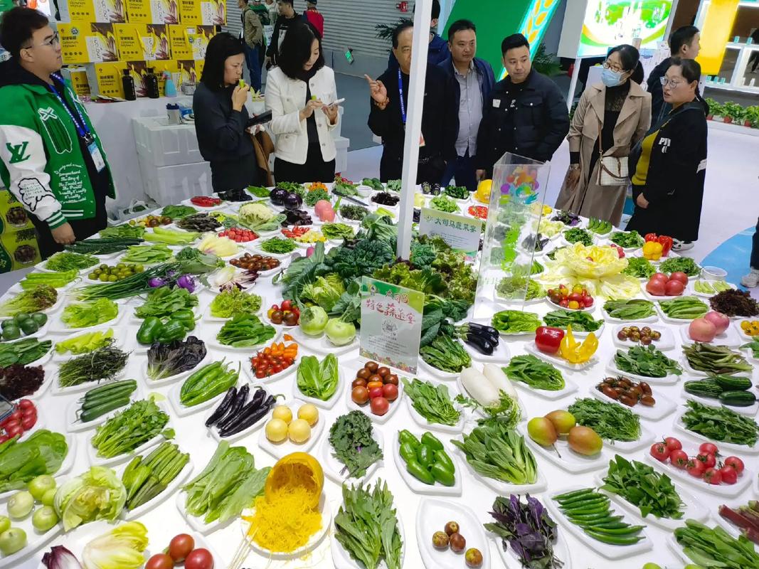 第二十届中国国际农产品交易会 聚焦农副产品创新与学习