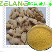 农副产品加工厂 专注姜类产品，推动产业升级