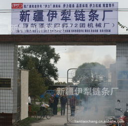 新疆伊犁链条厂 立足边疆，服务农业的链条专家