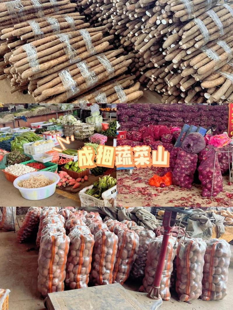 成都市民的“菜篮子”与“果盘子”——探访沙西农副产品批发市场